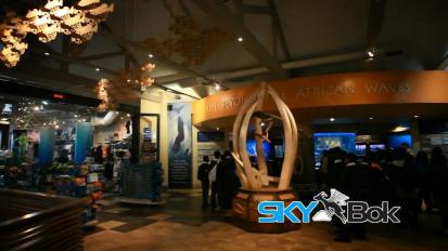 Cape Town Aquarium