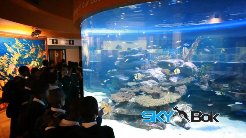 Two Oceans Aquarium