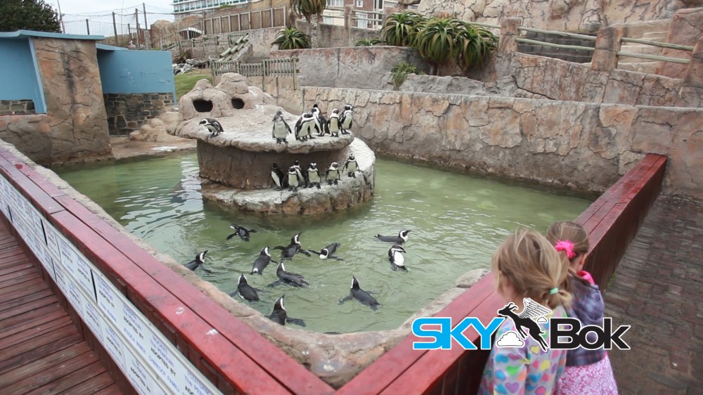 East London Aquarium.Still005