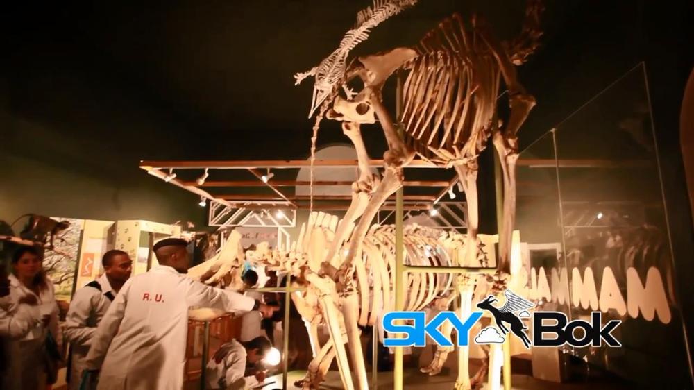 Skybok- Albany Museum (Grahamstown, South Africa).mp4_snapshot_00.18_[2014.03.03_14.23.44]