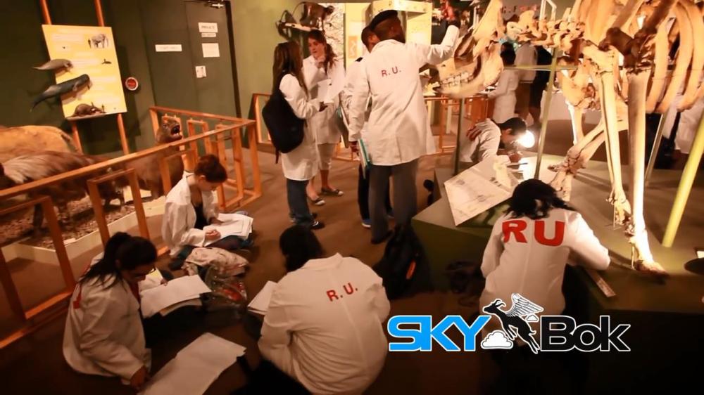 Skybok- Albany Museum (Grahamstown, South Africa).mp4_snapshot_00.23_[2014.03.03_14.24.01]
