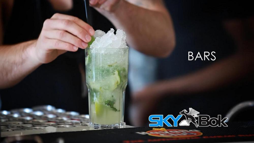 Skybok