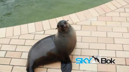 East London Aquarium
